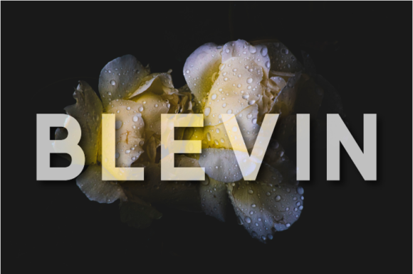 Blevin: A Modern Sans Serif Font for Editorial Design