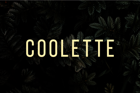 Coolette Font for Clean Web Typography
