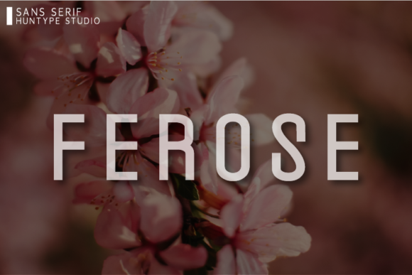 Ferose: A Modern Sans Serif Font for Editorial Design
