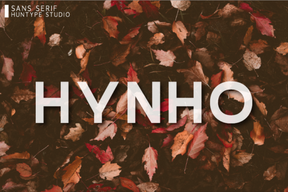 Hynho: A Contemporary Sans Serif Font for Crafters