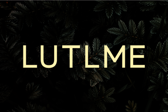Lutlme: Elegant Sans Serif Fonts for Editorial Design