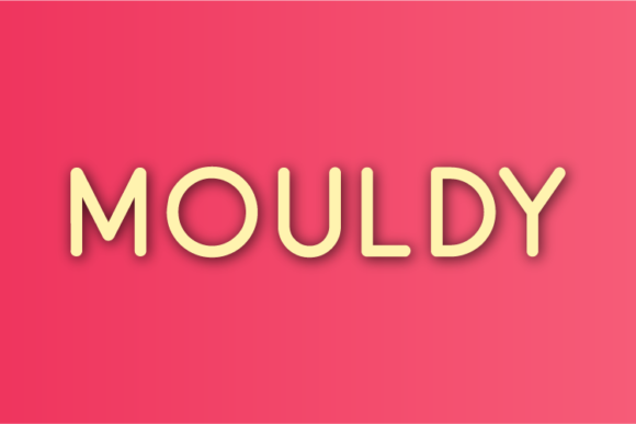 Mouldy: A Minimal Sans Serif Font for Web Design
