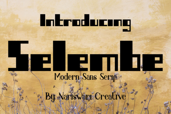 Selembe Font: Bold Minimalism for Modern Campaigns