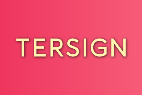Tersign: A Minimal Sans Serif Typeface for Digital Clarity