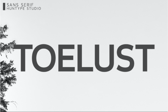 Toelust: An Elegant Sans Serif Font for Business